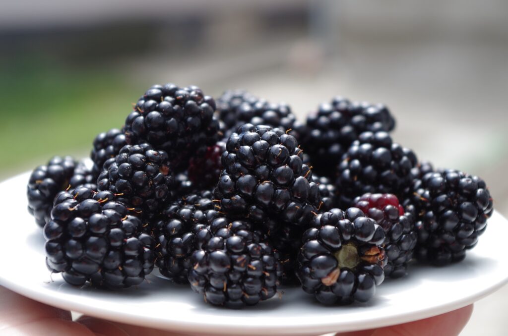 ब्लैकबेरीज़ (Blackberry)
