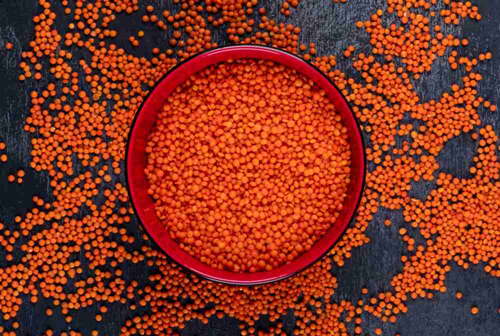 <a href="https://www.freepik.com/free-photo/top-view-red-lentils-red-bowl-dark-stone-table-horizontal_7598999.htm#query=Red%20Lentils&position=1&from_view=search&track=ais">Image by 8photo</a> on Freepik