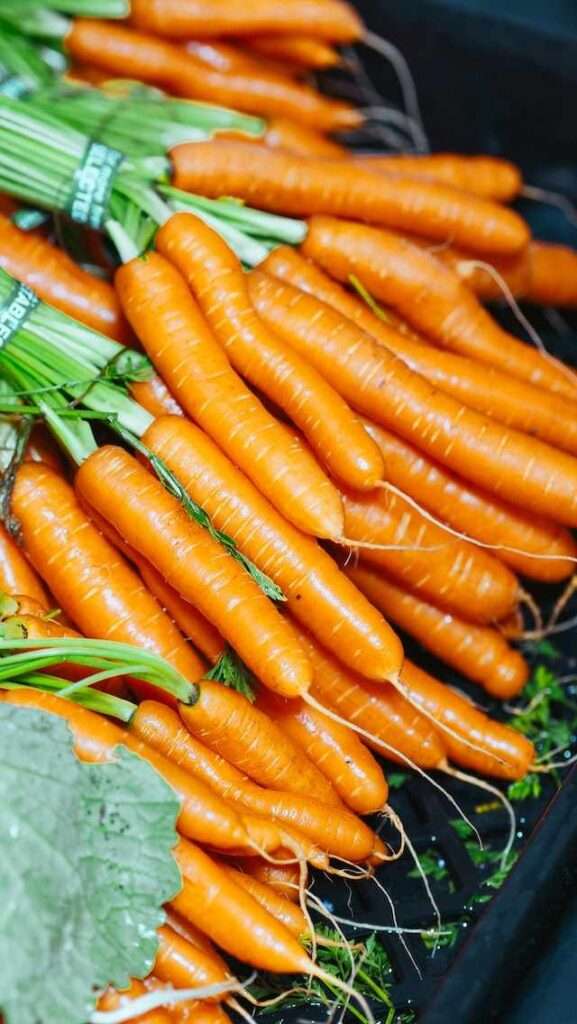 Carrots contain beta-carotene, an essential nutrient for eye health, especially for night vision.