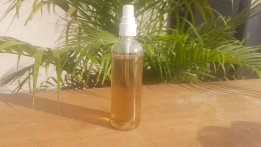 DIY MINT LEAVE AND CLOVES TONER