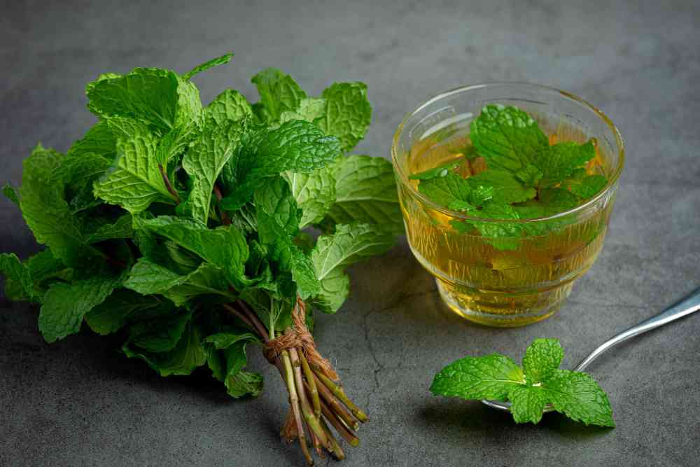 <a href="https://www.freepik.com/free-photo/peppermint-tea-glass-ready-drink_13083136.htm#query=tulsi&position=10&from_view=search&track=sph&uuid=d59eae9a-a94c-4076-8848-03f6ca849da0">Image by jcomp</a> on Freepik