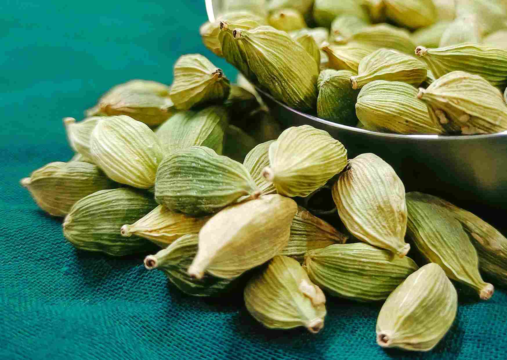 The Spice of Wellness: Exploring the Health Benefits of Cardamom (Ilaichi)