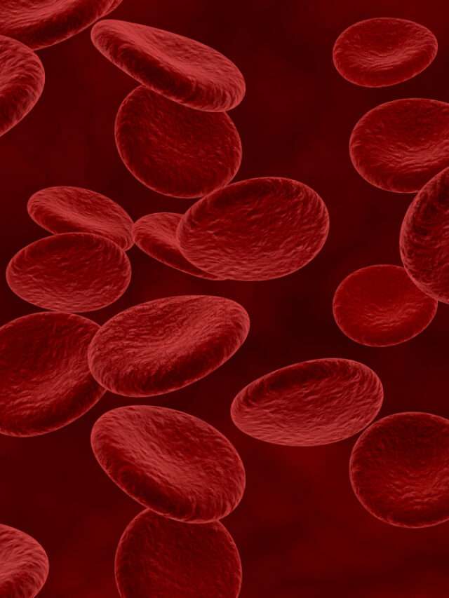 foods-to-boost-red-blood-cells-diy-glow