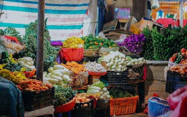 Nature's Artistry: Foods That Resemble and Nourish Our Vital Body Parts