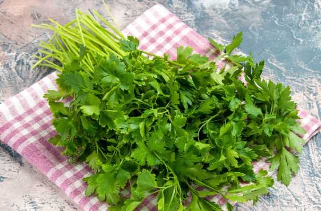 Coriander Leaves